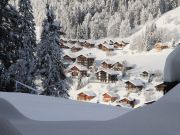 mountain and ski rentals: appartement no. 112825