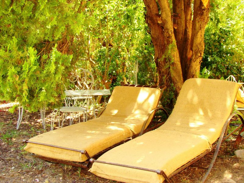 photo 13 Owner direct vacation rental Hyres gite Provence-Alpes-Cte d'Azur Var Garden