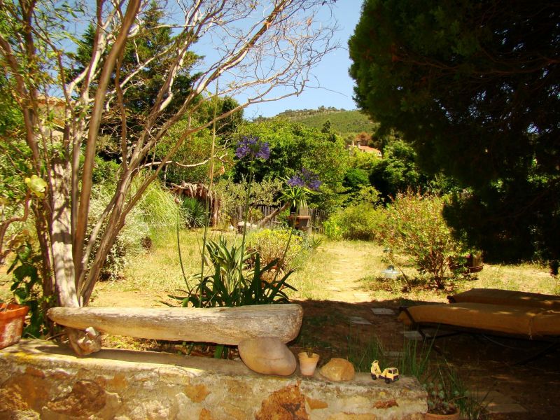photo 12 Owner direct vacation rental Hyres gite Provence-Alpes-Cte d'Azur Var Garden