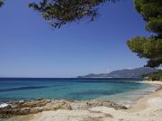 French Mediterranean Coast holiday rentals cottages: gite no. 113958