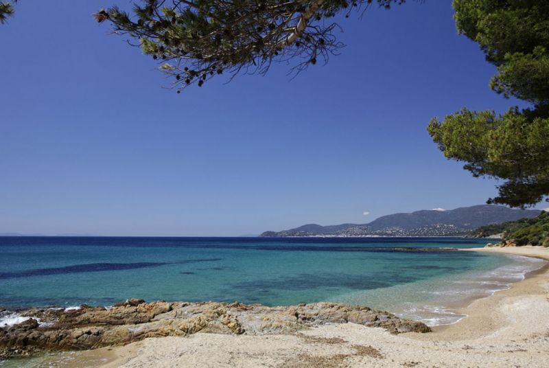 photo 0 Owner direct vacation rental Hyres gite Provence-Alpes-Cte d'Azur Var