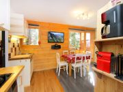 French Ski Resorts holiday rentals for 3 people: appartement no. 121374