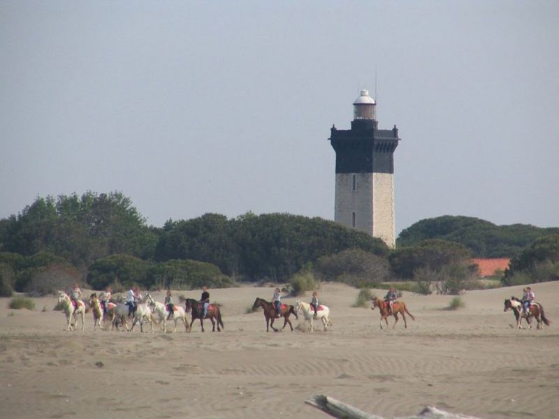 photo 17 Owner direct vacation rental Le Grau du Roi maison Languedoc-Roussillon Gard Beach