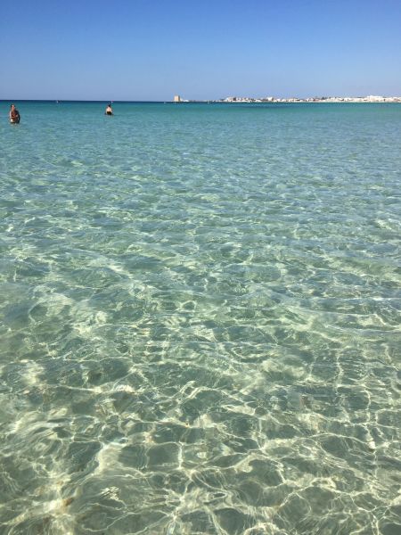 photo 20 Owner direct vacation rental Porto Cesareo appartement Puglia Lecce Province Beach