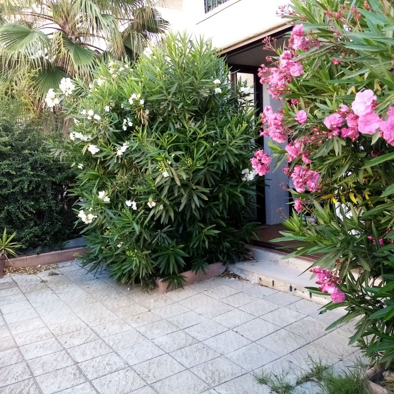 photo 18 Owner direct vacation rental Canet-en-Roussillon appartement Languedoc-Roussillon Pyrnes-Orientales Garden