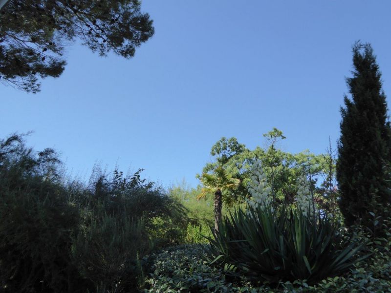 photo 7 Owner direct vacation rental Le Bois-Plage-en-R maison Poitou-Charentes Charente-Maritime View from terrace