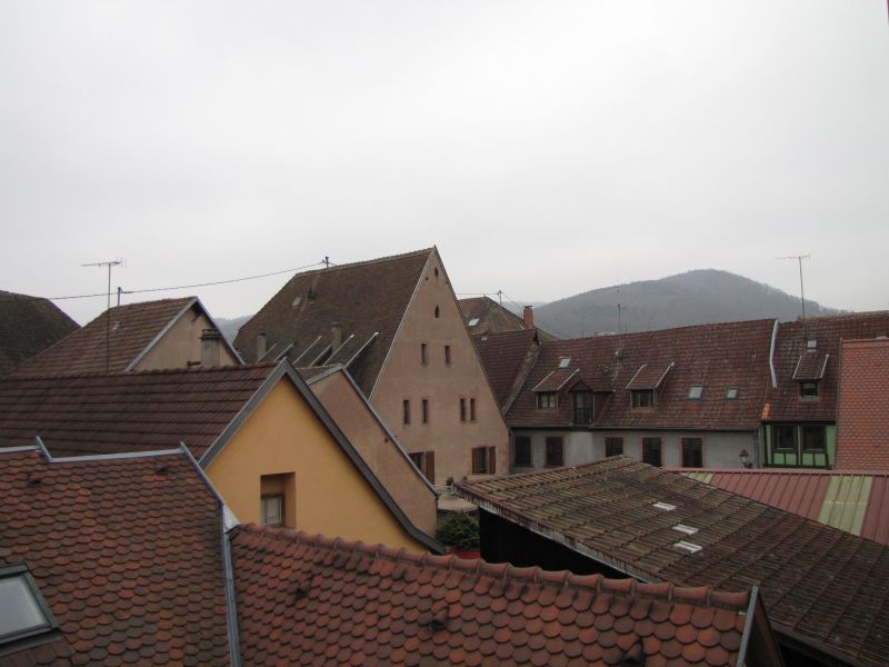 photo 18 Owner direct vacation rental Ribeauvill appartement Alsace Haut-Rhin View from the property