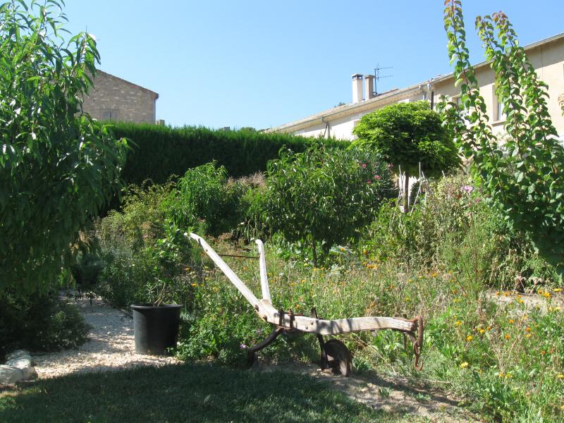 photo 14 Owner direct vacation rental Isle sur la Sorgue gite Provence-Alpes-Cte d'Azur Vaucluse Outside view