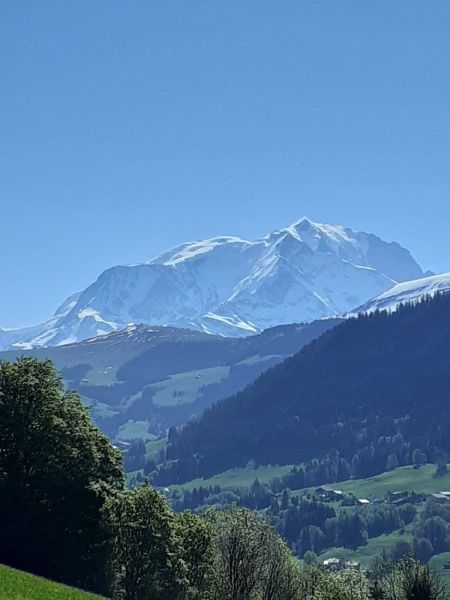 photo 27 Owner direct vacation rental Praz sur Arly studio Rhone-Alps Haute-Savoie Surroundings