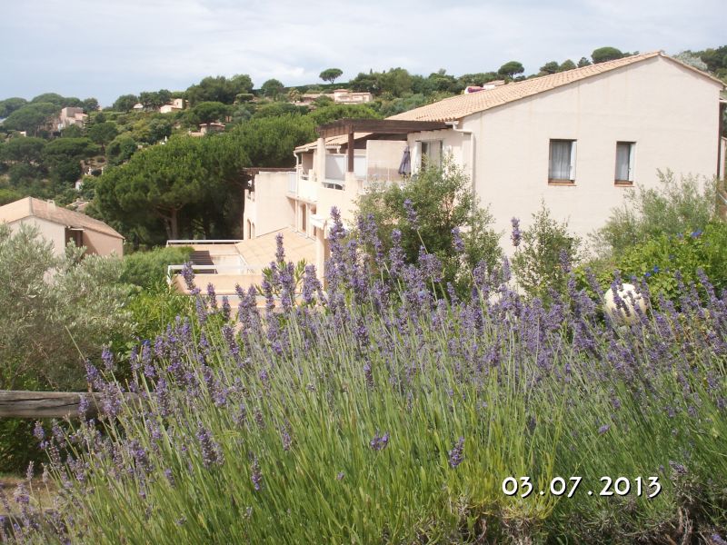 photo 15 Owner direct vacation rental Sainte Maxime appartement Provence-Alpes-Cte d'Azur Var Outside view