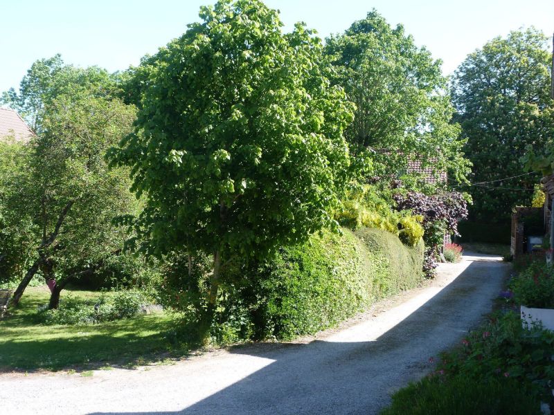 photo 20 Owner direct vacation rental Sangatte/Blriot-Plage gite Nord-Pas de Calais Pas de Calais View from the property