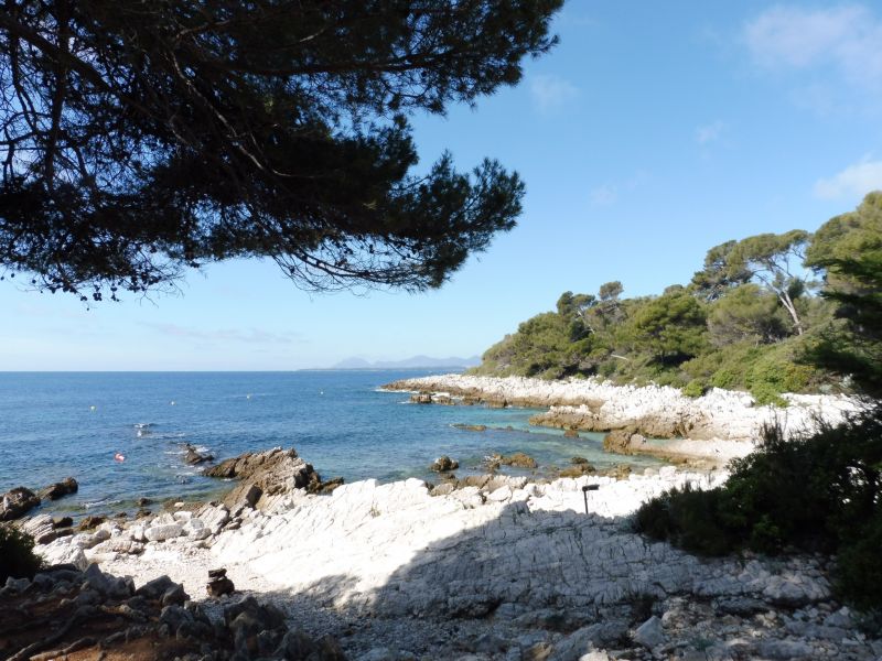 photo 25 Owner direct vacation rental Antibes appartement Provence-Alpes-Cte d'Azur Alpes-Maritimes Surroundings