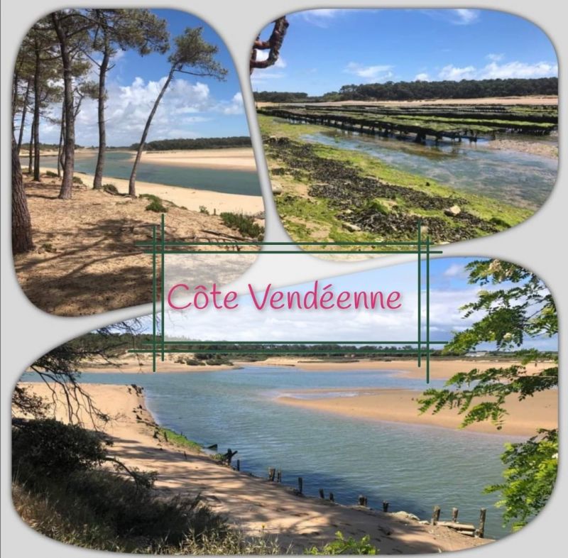 photo 21 Owner direct vacation rental Les  Sables d'Olonne appartement Pays de la Loire Vende