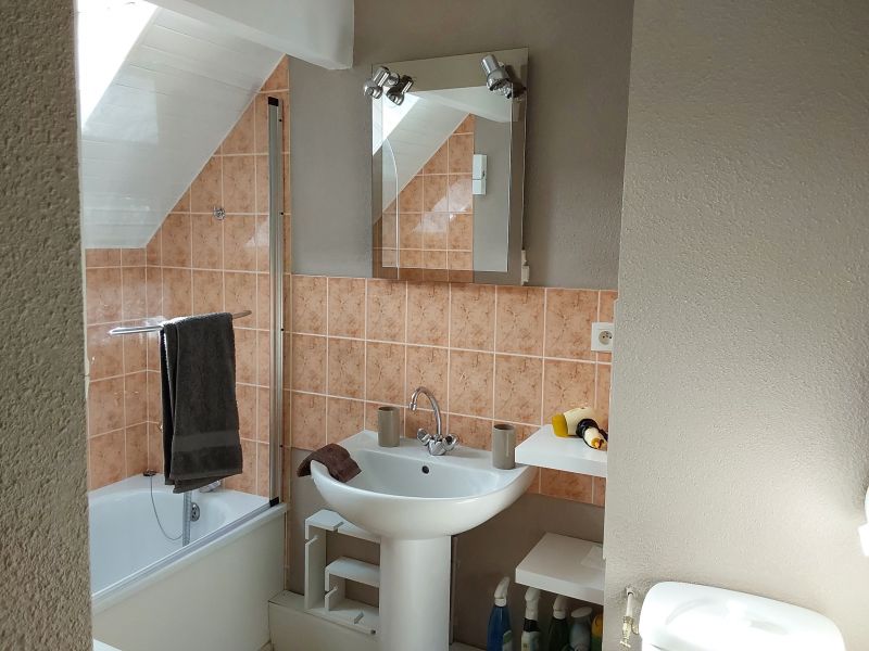 photo 7 Owner direct vacation rental Saint Lary Soulan appartement Midi-Pyrnes Hautes-Pyrnes bathroom