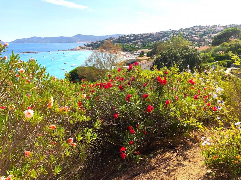 photo 4 Owner direct vacation rental Le Lavandou villa   View from terrace