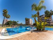 Alicante (Province Of) swimming pool holiday rentals: appartement no. 128822