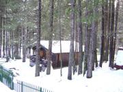 holiday rentals for 3 people: chalet no. 74943