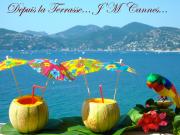 Alpes-Maritimes sea view holiday rentals: appartement no. 80567