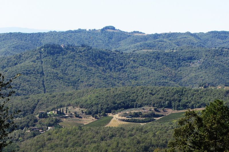 photo 13 Owner direct vacation rental Siena gite Tuscany Siena View from terrace