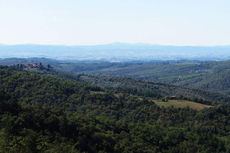 photo 14 Owner direct vacation rental Siena gite Tuscany Siena View from terrace