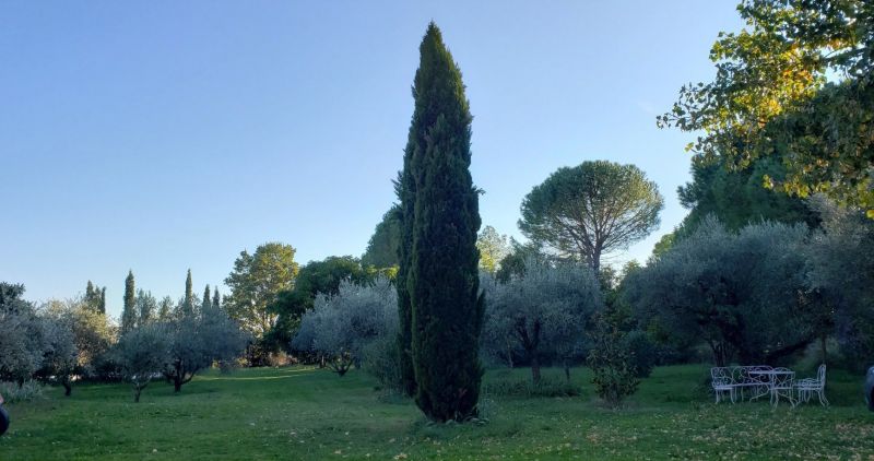 photo 2 Owner direct vacation rental Uzès maison Languedoc-Roussillon Gard Garden