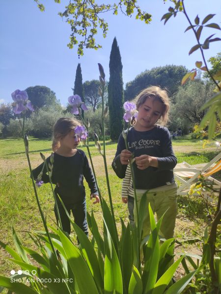 photo 5 Owner direct vacation rental Uzès maison Languedoc-Roussillon Gard Garden