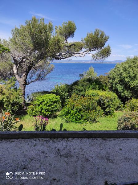 photo 15 Owner direct vacation rental Hyres appartement Provence-Alpes-Cte d'Azur Var Garden