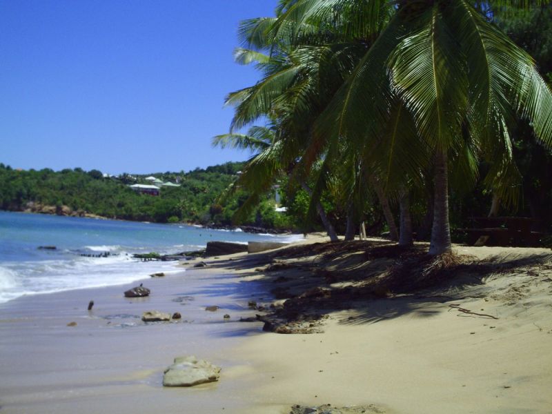 photo 26 Owner direct vacation rental Sainte Anne (Martinique) villa