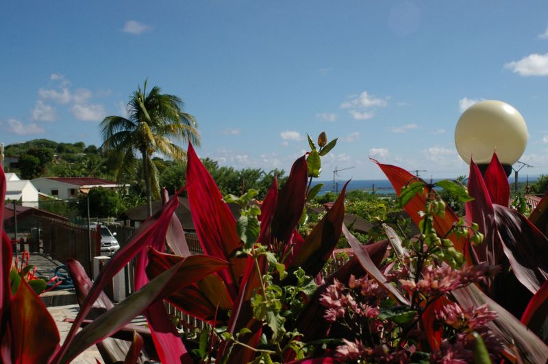 photo 23 Owner direct vacation rental Sainte Anne (Martinique) villa   View from terrace