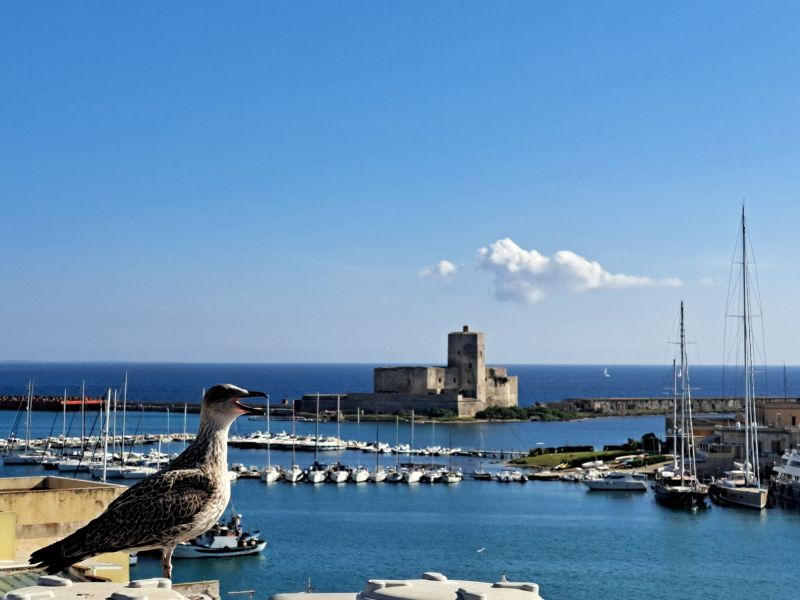 photo 22 Owner direct vacation rental Trapani appartement Sicily Trapani Province Other view