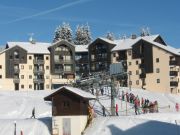 Haute-Savoie ski resort rentals: appartement no. 101312