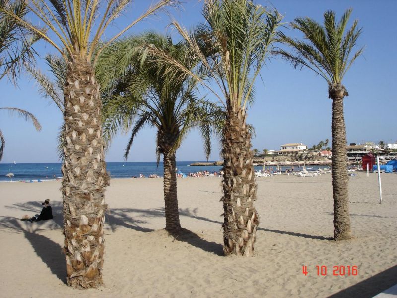 photo 22 Owner direct vacation rental Jvea appartement Valencian Community Alicante (province of) Beach