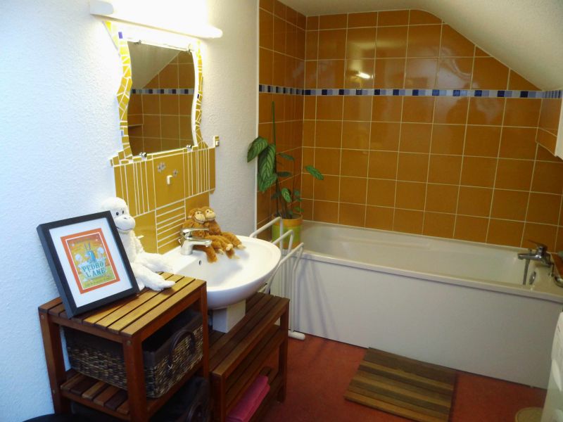 photo 15 Owner direct vacation rental Grardmer appartement Lorraine Vosges bathroom