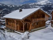Haute-Savoie mountain and ski rentals: chalet no. 117783