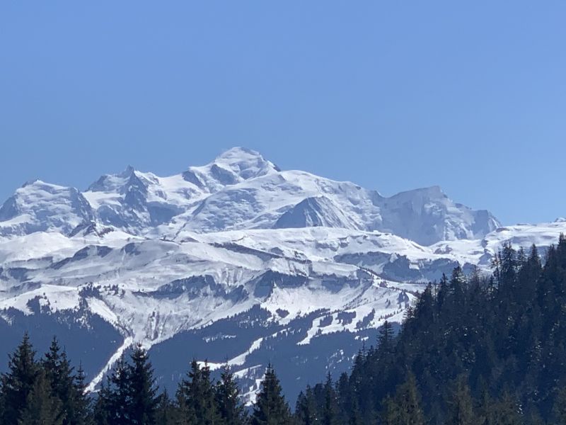 photo 15 Owner direct vacation rental Praz de Lys Sommand appartement Rhone-Alps Haute-Savoie View from terrace