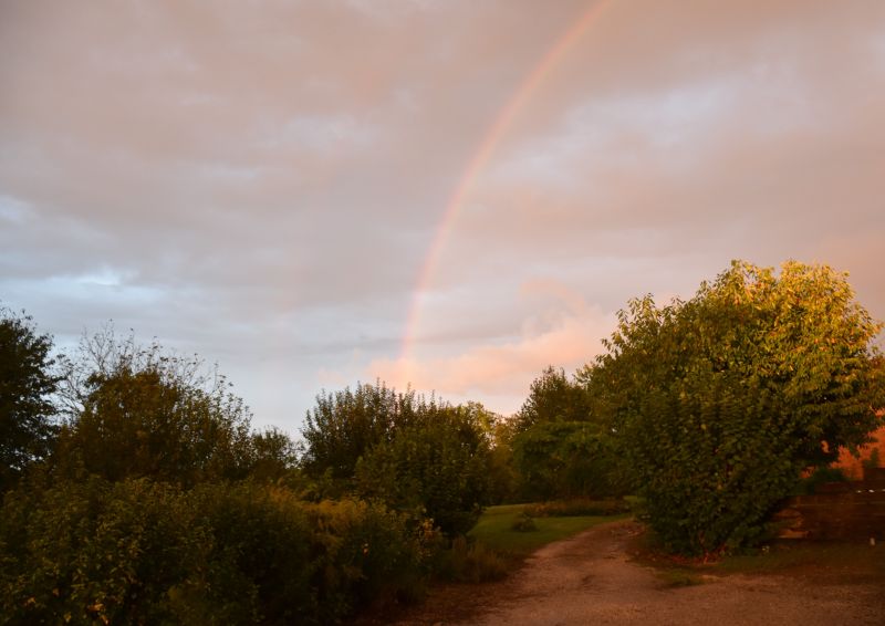 photo 16 Owner direct vacation rental Bergerac gite Aquitaine Dordogne Garden