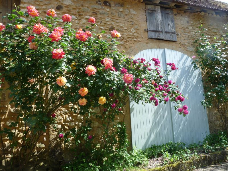 photo 9 Owner direct vacation rental Pau maison Aquitaine Pyrnes-Atlantiques Courtyard