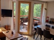 mountain and ski rentals: appartement no. 127666