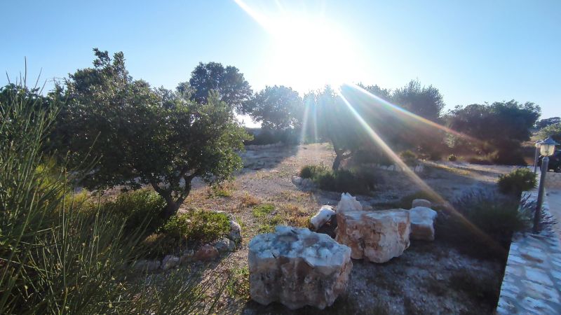 photo 27 Owner direct vacation rental Locorotondo villa Puglia Bari Province Outside view