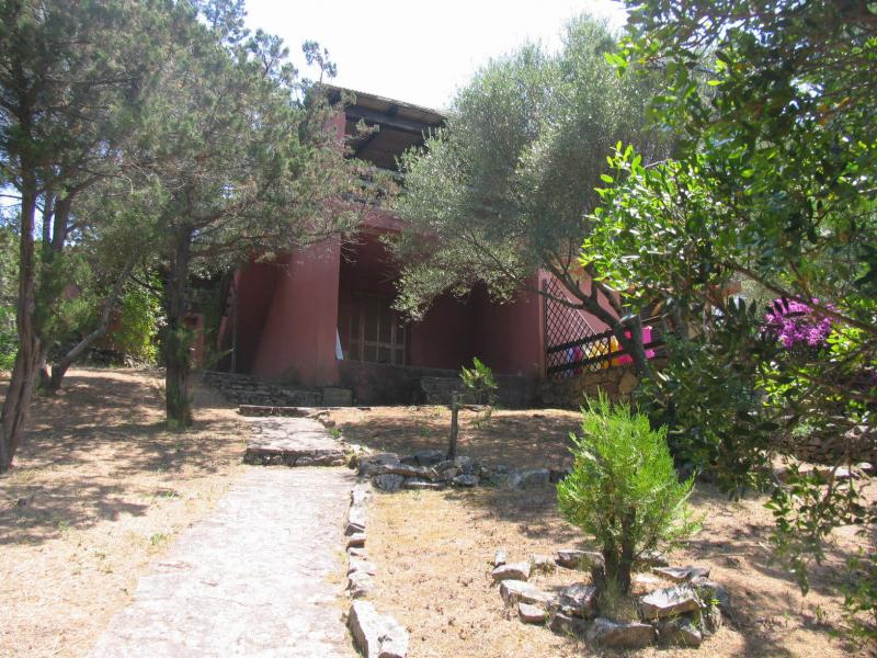photo 0 Owner direct vacation rental Porto Rotondo appartement Sardinia Olbia Tempio Province Garden