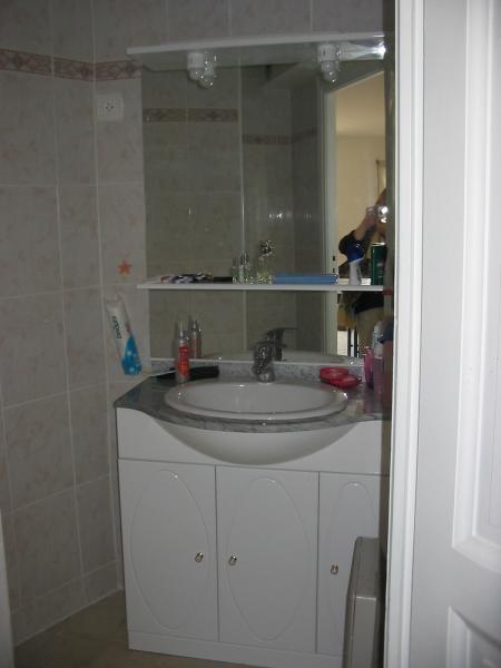 photo 3 Owner direct vacation rental Locmariaquer appartement Brittany Morbihan Washing facilities