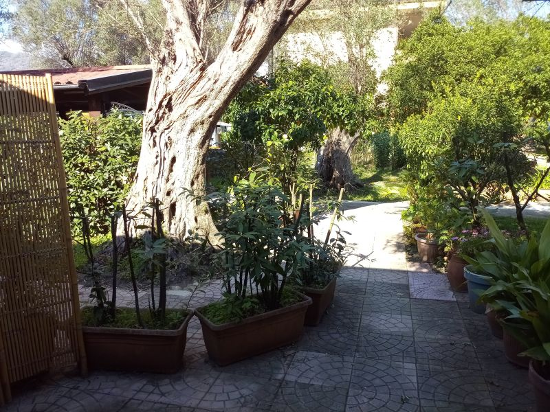 photo 6 Owner direct vacation rental Policastro Bussentino bungalow Campania Salerne Province