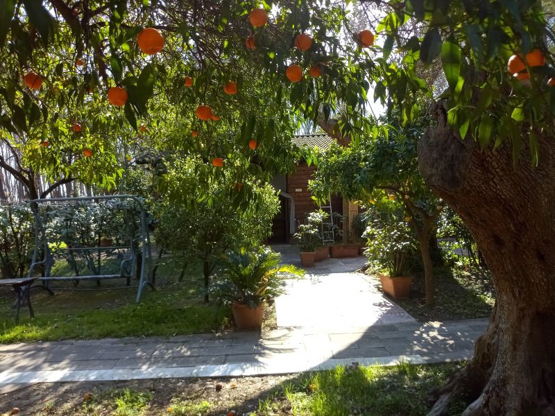 photo 5 Owner direct vacation rental Policastro Bussentino bungalow Campania Salerne Province