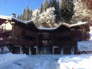 Morzine mountain and ski rentals: appartement no. 82300