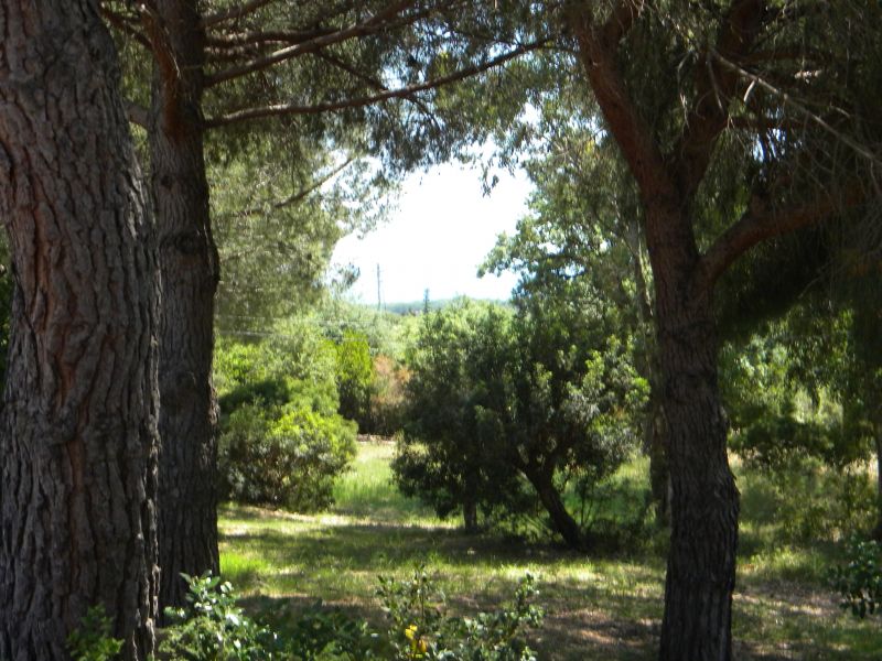 photo 18 Owner direct vacation rental Campo nell'Elba appartement Tuscany Elba Island Garden