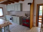 Belluno Province holiday rentals for 4 people: appartement no. 104163