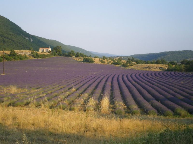 photo 9 Owner direct vacation rental Forcalquier gite Provence-Alpes-Cte d'Azur Alpes de Haute-Provence