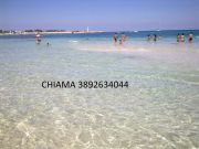 Trapani Province seaside holiday rentals: appartement no. 110157