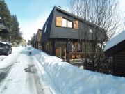 French Pyrenean Mountains holiday rentals for 9 people: chalet no. 110273