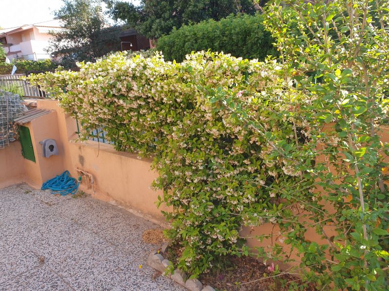 photo 25 Owner direct vacation rental Quartu Sant'Elena maison Sardinia Cagliari Province